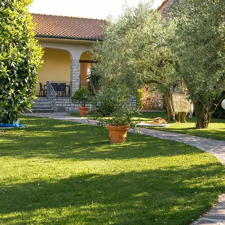 Luana & Marcello's Lucca
